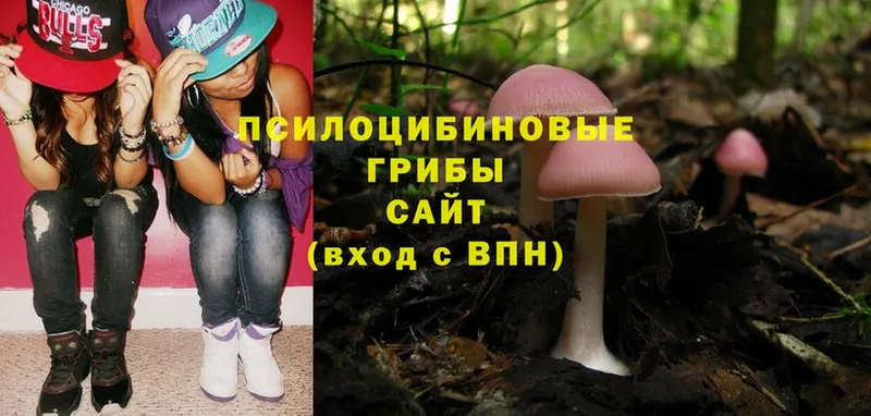 Псилоцибиновые грибы Magic Shrooms  Кызыл 